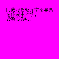 商品No.T-1 写真