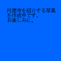 商品No.T-2 写真