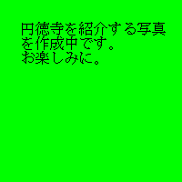 商品No.T-3 写真