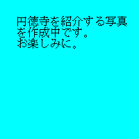 商品No.T-4 写真