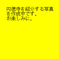 商品No.T-5 写真
